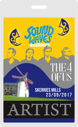 4 of us pass skerries festival